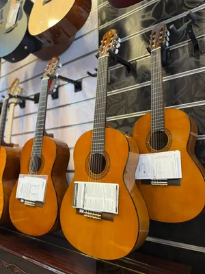 جيتار يماها - guitar Yamaha - صناعة يابانيه كفاله الوكالة الرسمية