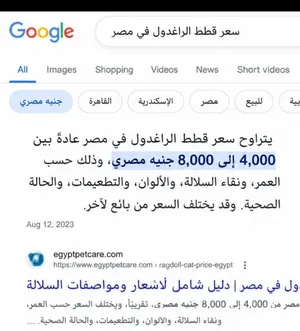 عندي راجدول بيور قمر ب الفين بس سعر مش موجود في اي حته في مصر