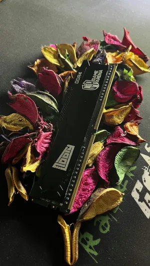 رامة Game Arena 8GB 3200mhz cl19 سريعه