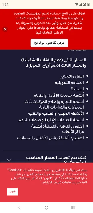 خدمات ( مساندة) تمكين