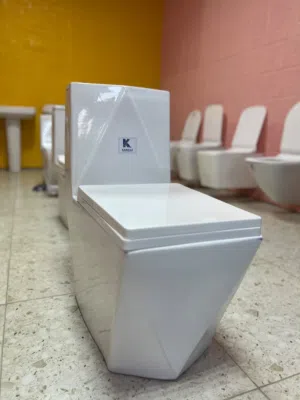 مراحيض صناعة هندية