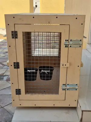 IATA‐Approved Wooden Travel Box for Large Dogs