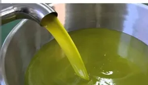زيت زيتون بلدي بكر