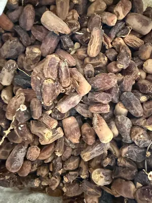 نفيعه سح نغال