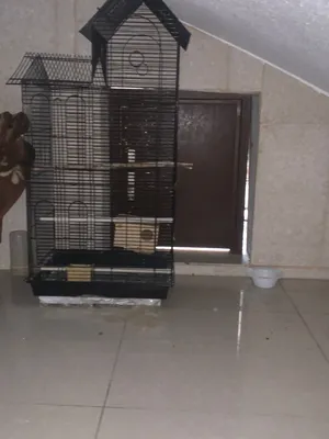 شبك مطير للبيع نظيف البيع مستعجل