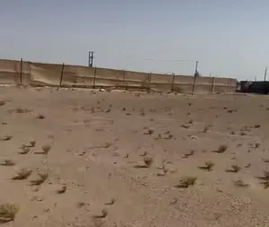 Mixed Use Land for Sale in Al Ain Um Ghaffa