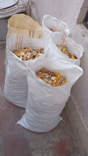 خبز ميبس وا جاهز بشكل يومي بل جمله
