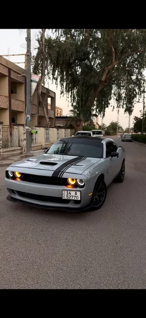 دوج جالنجر 2018 للبيع صبغ عام
