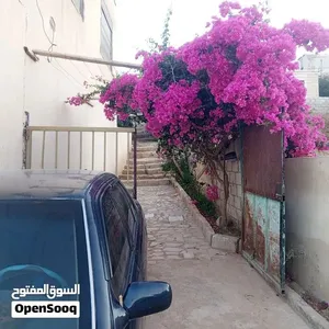 بيت للبيع جريبا
