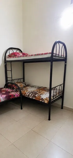 Bunker Bed For sale BD15/-
