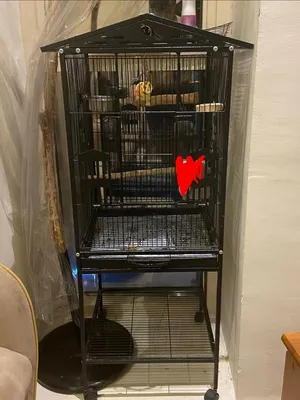 Bird/Parrot Cage with rack shelf and movables wheels(Black) (GOOD FOR MEDIUM SIZED BIRDS)