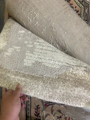 سجاد فاخر ابيض مجلس