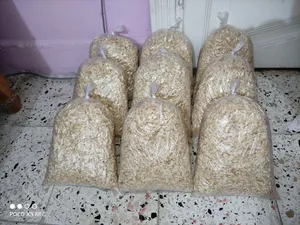 نشاره خشب خشن نظيف فرش للعشوش