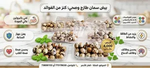 بيض سمان يباني