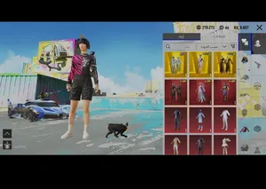 Pubg Accounts and Characters for Sale in Kuwait City