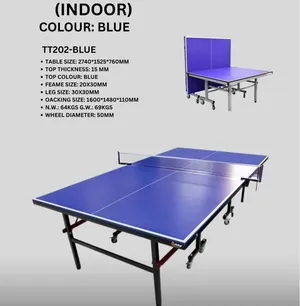Table Tennis