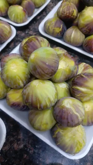 تين زراقي طازج حج لارج و وسط