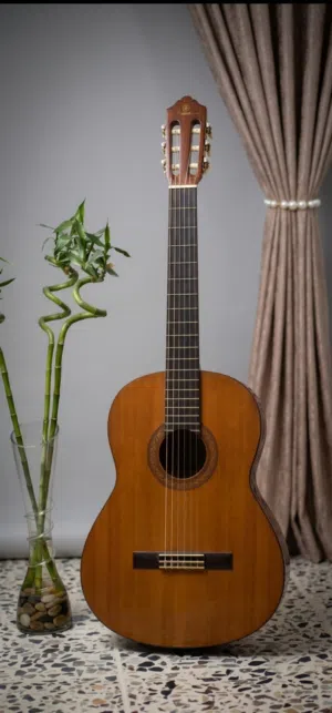 جيتار Yamaha c40 classic