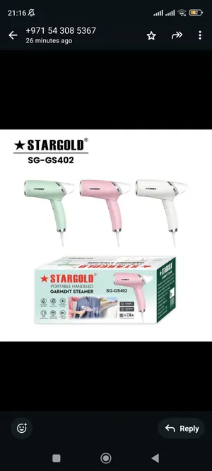 Portable Handheld Garment Steamer