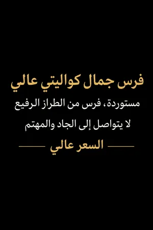 فرس جمال كواليتي عالي مستوردة