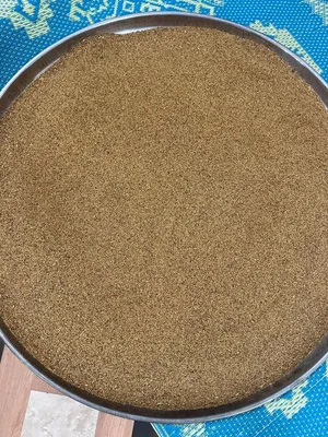 بذر قت عماني بالجمله