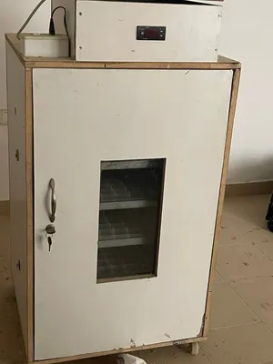 فقاسه بحاله ممتازه 350بيضه دجاج تقليب الي ممتازه جدا