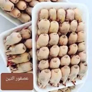عصافير مذوبحه