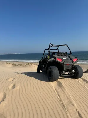 Polaris rzr