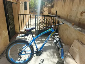 بسكليت عاجل كبار