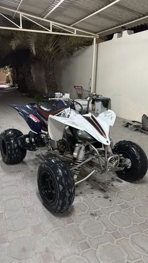 افضل سعر فل سوق