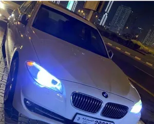 BMW 530 Li. 2013