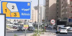 للبيع اراضى استثماريه فى المهبوله 6000 متر بطن وظهر نسبة بناء 300 بالمائه  موقع مميز    واخرى 3420 م