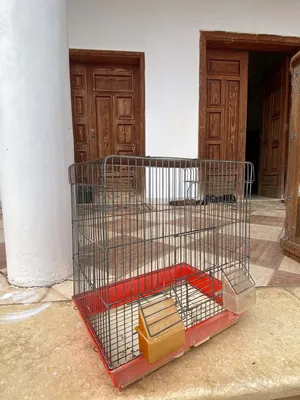 أقرأ الوصف