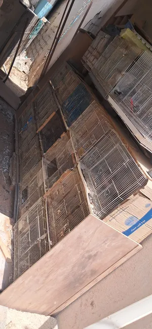 cages for sale