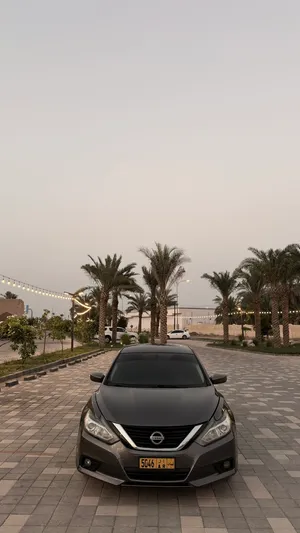 التيما 2017