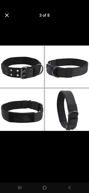 dog collar and leash