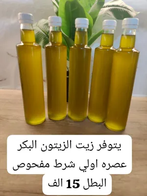 زيت زيت عصرة أولى شرط مفحوص