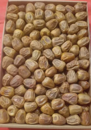 تمر سكري مفتل للبيع بل الجملة