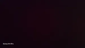 ارض ف الرميس