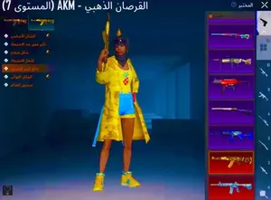 Pubg Accounts and Characters for Sale in Zarqa