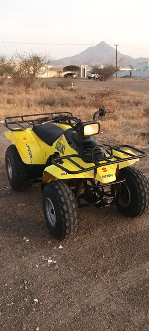 Suzuki 160 CC automatic gear
