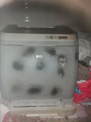 HP Color Laser 2600n