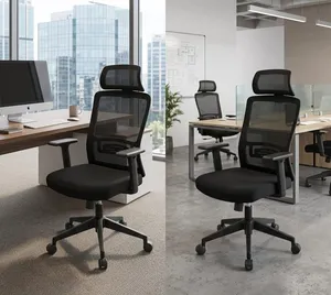Office & study chair