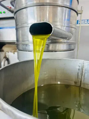 الي بحب النبي يصلي عليه  موجود عندي زيت زيتون مكفول 100% من مزارعنا وليس