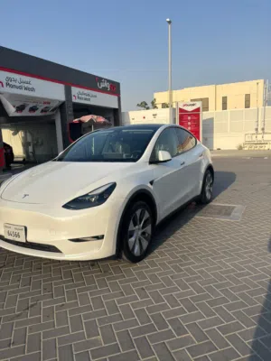 تسلا مودل واي tesla model y
