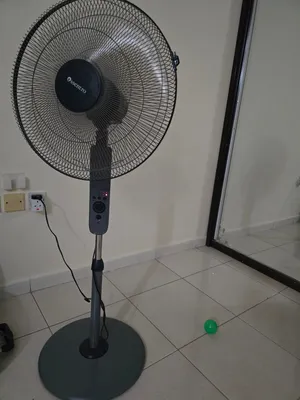 stand big fans