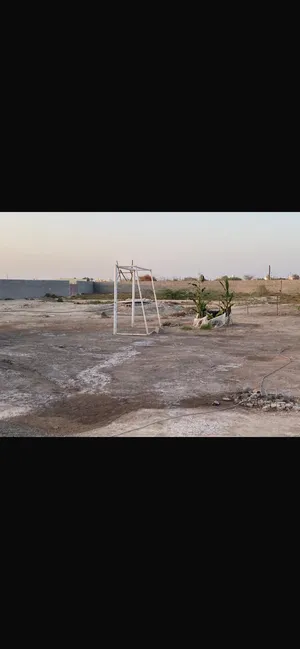 Farm Land for Sale in Al Batinah Al Masnaah