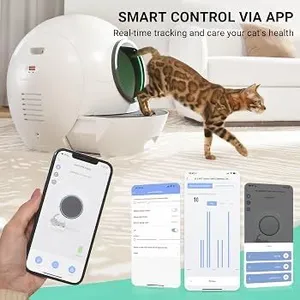 Automatic litter box