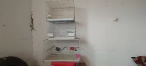 سلاكات كبار