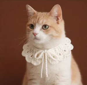 spoil your cat with a cozy collar